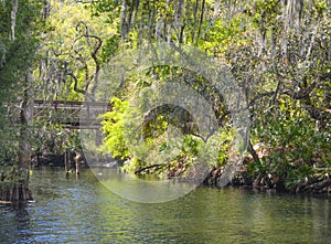 A bridge over Shingle Creek in the Shingle Creek Regional Park, Osceola County, Kissimmee, Florida