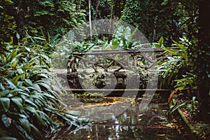 Bridge over small river in jungle