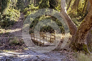 Bridge over a small river in the mountains