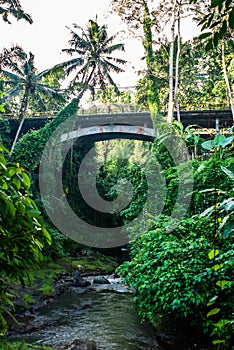 Bridge over small river surrounded by lush tropical vegetation