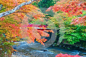 Bridge over stream in autumn, Japan