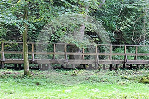 Bridge over stream near spring - Jankovac, Papuk, Croatia photo