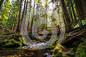 Bridge over the Stream, Sol Duc Wilderness at Olympic National Park