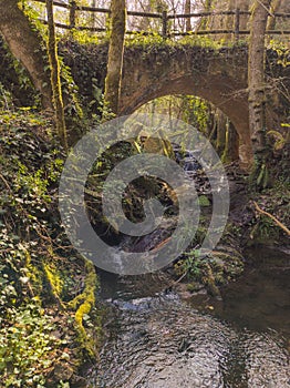 Bridge over the Vallcarquera creek