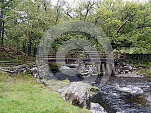 Bridge over Watendlath Beck, Borrowdale area