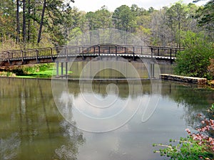 Bridge Over Water