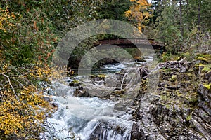 Bridge over the waterfalls and river at Little Qualicum Falls Provincial Park, B.C