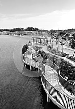 Bridge over Wetlands