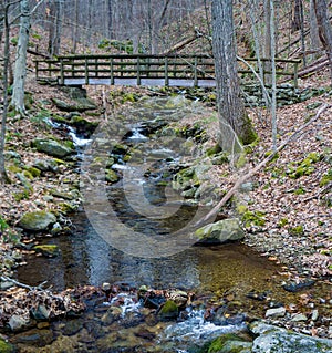 Bridge Over a Wild Mountain Trout Stream