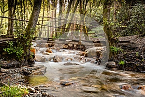 Bridge over a wooded stream in figueiro dos vinhos, leiria, portugal photo