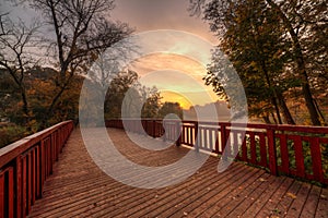 Bridge in the park