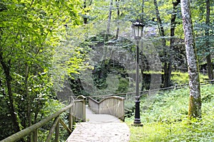 Bridge in a park in Cangas de OnÃ­s