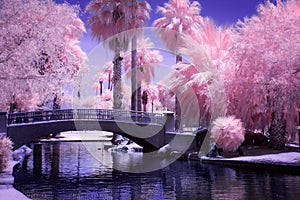 Bridge in park in infrared