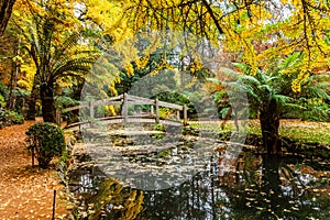 Bridge in the park over the pond.