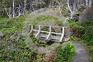 Bridge on the path of East Sooke Regional Park, Vancouver Island