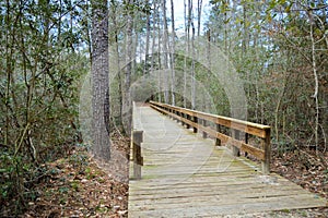 Bridge path to hiking trail