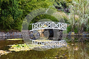 Bridge on pond