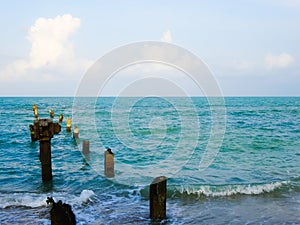 Bridge posts damaged by sea erosion