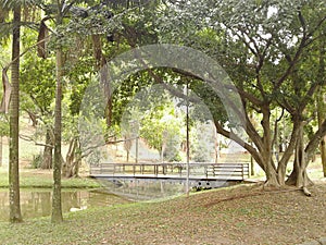 Bridge in Regional Park Santo Andre Sao Paulo Brazil. photo