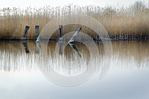 Bridge remains photo