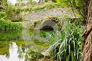 Bridge And River At Garden Of Nympha