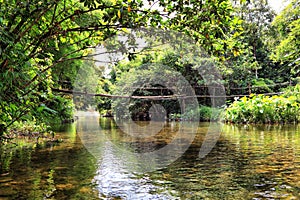 The bridge on the river in jungle