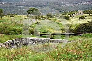 Bridge, Ruins Roman in bolonia beach photo