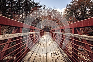 Bridge with rusty reiling in the Acadia National Park, Maine