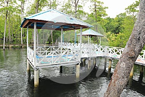Bridge and shacks in Mangrove Park
