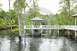 Bridge and shacks in Mangrove Park