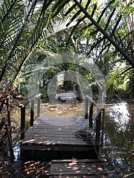 Bridge at Sri Nakhon Khuean Khan Park