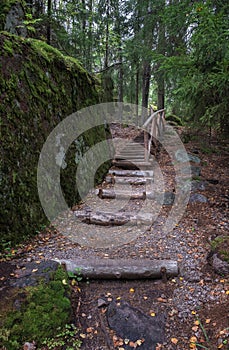 bridge and stairs in the northern forest among boulders and firs, on a summer day. Eco trail Park Monrepo in Vyborg