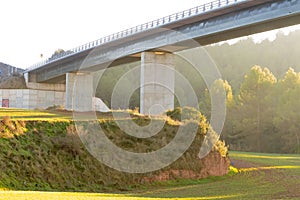 Bridge structure from underneath with background forest