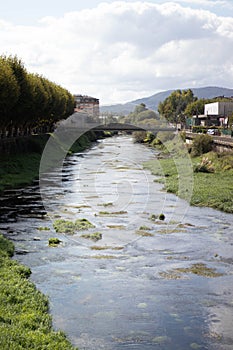 Bridge in a sunny day