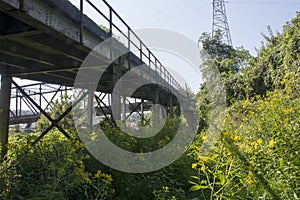 Bridge support and beams