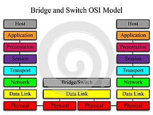 Bridge and Switch OSI Network Model