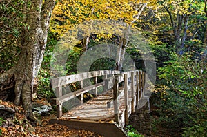 Bridge Tanawha Trail Western North Carolina photo