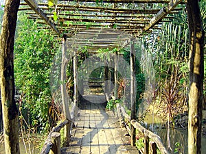 Bridge in thai jungle