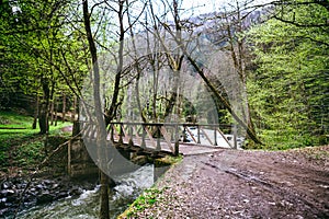 bridge though the mountain stream in the Borjomi forest