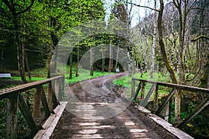 bridge though the mountain stream in the Borjomi forest