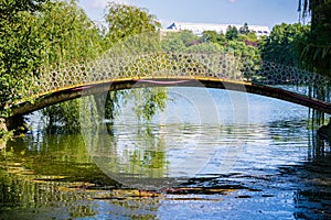 Bridge in Tineretului Park