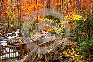 Bridge to Anna Ruby Falls, Georgia, USA