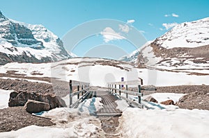 Bridge to arrive at Athabasca Glacier