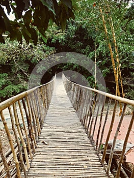 Bridge to the forest photo