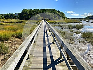 Bridge to the Island