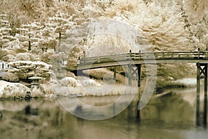 Bridge to a Japanese Garden