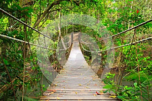 Ponte sul la giungla, tailandia 