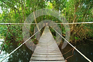 Bridge to the jungle,Khao Yai,Thailand