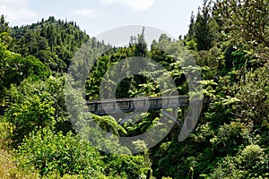 Bridge to Nowhere - Whanganui National Park - historical concrete bridge surrounded by lush foliage - landscape