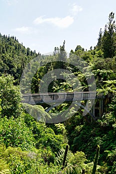 Bridge to Nowhere - Whanganui National Park - historical concrete bridge surrounded by lush foliage - portrait